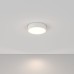 Потолочный светильник Maytoni Zon C032CL-L32W4K