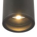 Уличный потолочный светильник Maytoni Bar O306CL-L7GF