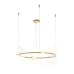 Подвесная люстра Maytoni Oasis MOD289PL-L44BS3K