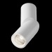 Накладной спот Maytoni Dafne C027CL-L10W4K