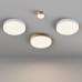 Потолочный светодиодный светильник Maytoni Technical Ceiling Zon C032CL-45W4K-RD-MG