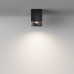 Потолочный светильник Maytoni Sirius C030CL-01B