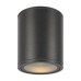 Уличный потолочный светильник Maytoni Bar O306CL-L12GF