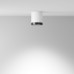 Потолочный светильник Maytoni Technical Hoop C086CM-GX53-MRD-WB