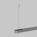 Тросовый подвес Maytoni Basity TRA172SW-R-1B