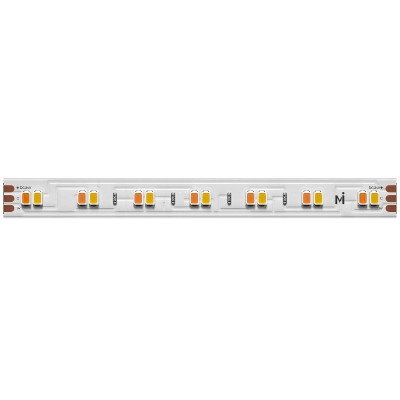 Светодиодная лента Maytoni Led Strip 24В 2835 19,2Вт/м 2700-6000К 5м IP20 201124
