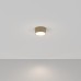 Потолочный светильник Maytoni Zon C032CL-12W4K-RD-MG
