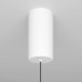 Подвесной светодиодный светильник Maytoni Technical Ray P022PL-L20W3K