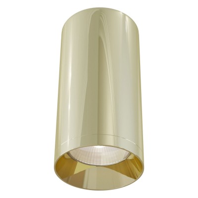 Накладной светильник Maytoni Technical Focus C010CL-01G