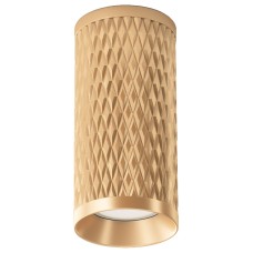 Накладной светильник Maytoni Focus Design C036CL-01G