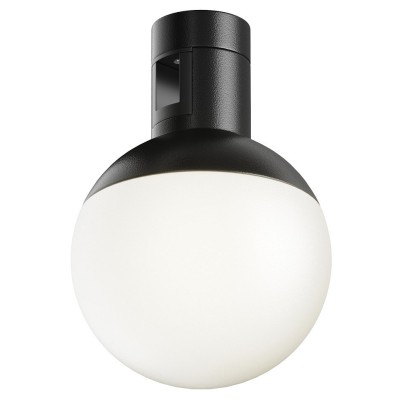 Накладной светильник Maytoni Technical Luna TR149-1-5W4K-B