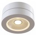 Накладной светильник Maytoni Magic C022CL-L7W