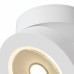 Накладной светильник Maytoni Magic C022CL-L7W