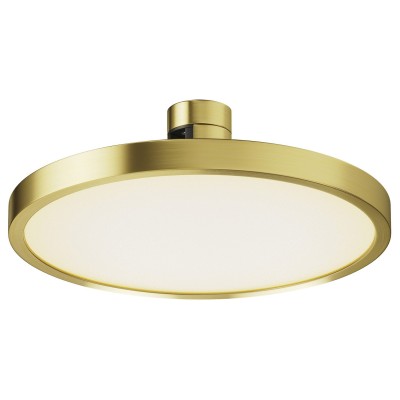Накладной светильник Maytoni Technical Plato TR153-1-10W3K-BS