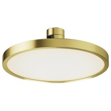 Накладной светильник Maytoni Plato TR153-1-10W4K-BS