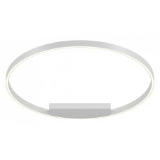 Накладной светильник Maytoni Rim MOD058CL-L50WK