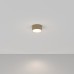Накладной светильник Maytoni Zon C032CL-12W4K-RD-MG