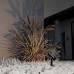  Ландшафтный светильник Outdoor 