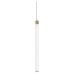 Подвесной светильник Maytoni Technical Ray P022PL-L20G3K