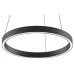 Подвесной светильник Maytoni Rim MOD058PL-L22BK