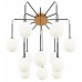 Потолочная люстра Maytoni Branch MOD176PL-12G