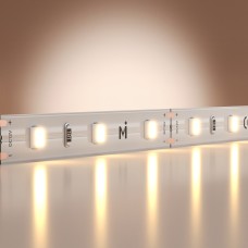 Лента светодиодная Maytoni Led Strip Base 201162