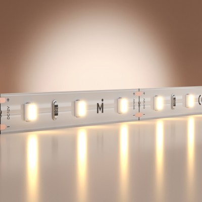 Лента светодиодная Maytoni Led Strip Base 201162