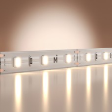 Лента светодиодная Maytoni Led Strip Base 201163