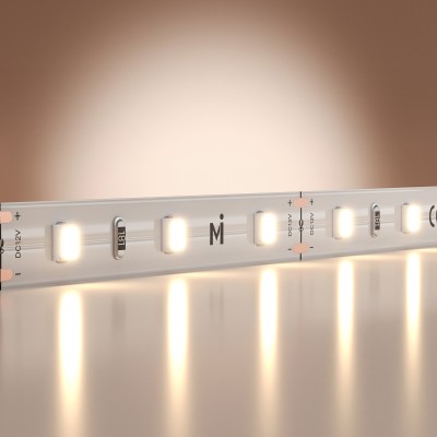 Лента светодиодная Maytoni Led Strip Base 201163