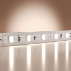 Лента светодиодная Maytoni Led Strip Base 201164