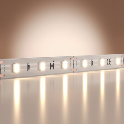 Лента светодиодная Maytoni Led Strip Base 201169