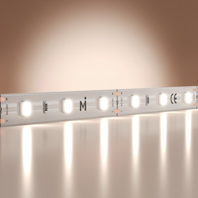 Лента светодиодная Maytoni Led Strip Base 201170