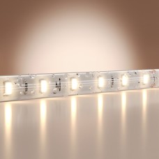 Лента светодиодная Maytoni Led Strip Base 201181