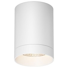 Накладной светильник Maytoni Outdoor Luxe O500CL-L10W3K