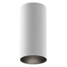 Накладной светильник Maytoni Technical Artisan C080CL-01-GU10-W