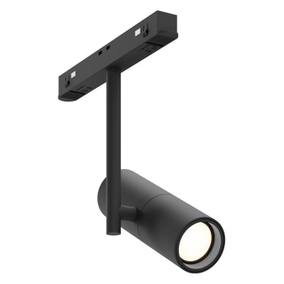 Светильник на штанге Maytoni Technical Elti TR005-2-12W3K-B