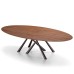 Обеденный стол Midj Forest Veneer 280x120 Oval
