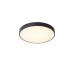 Потолочный светодиодный светильник Milosh tendence 0875CL-80BK
