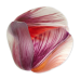 Ковер Moooi Tulip Mania Red Shell