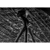 Стул Moooi Carbon black