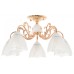 Потолочная люстра MyFar Nicole MR1661-5C