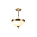 Потолочный светильник Myfar Biene MR1525-3C