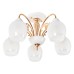 Потолочная люстра MyFar Nika MR1671-5C
