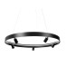 Подвесная люстра Myfar James MR2201-1PL