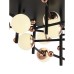 Потолочная люстра Natali Kovaltseva LED LAMPS 81344 GOLD BLACK