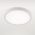 Потолочный светильник Natali Kovaltseva Plain LED LAMPS 81113/1C