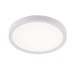 Потолочный светильник Natali Kovaltseva Plain LED LAMPS 81113/1C