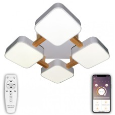 Потолочный светильник Natali Kovaltseva LED LAMPS 81323
