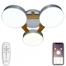 Потолочный светильник Natali Kovaltseva LED LAMPS 81327