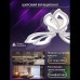 Потолочная люстра Natali Kovaltseva Fortuna LED LAMPS 81107/2C